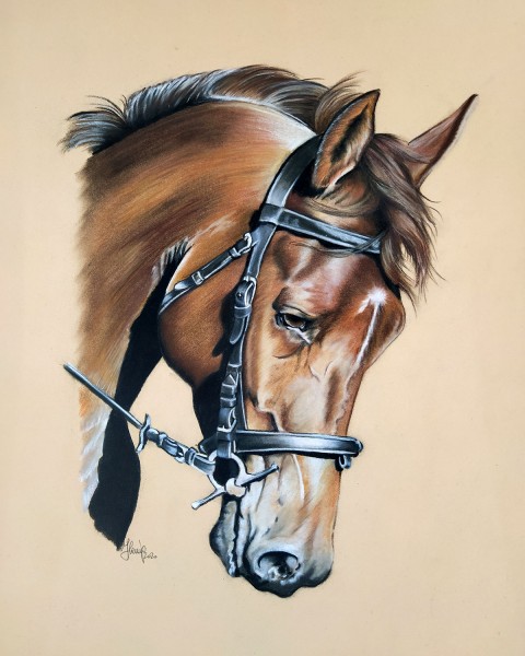 Quadro cavallo