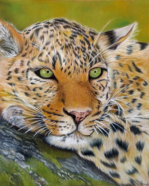 Quadro leopardo